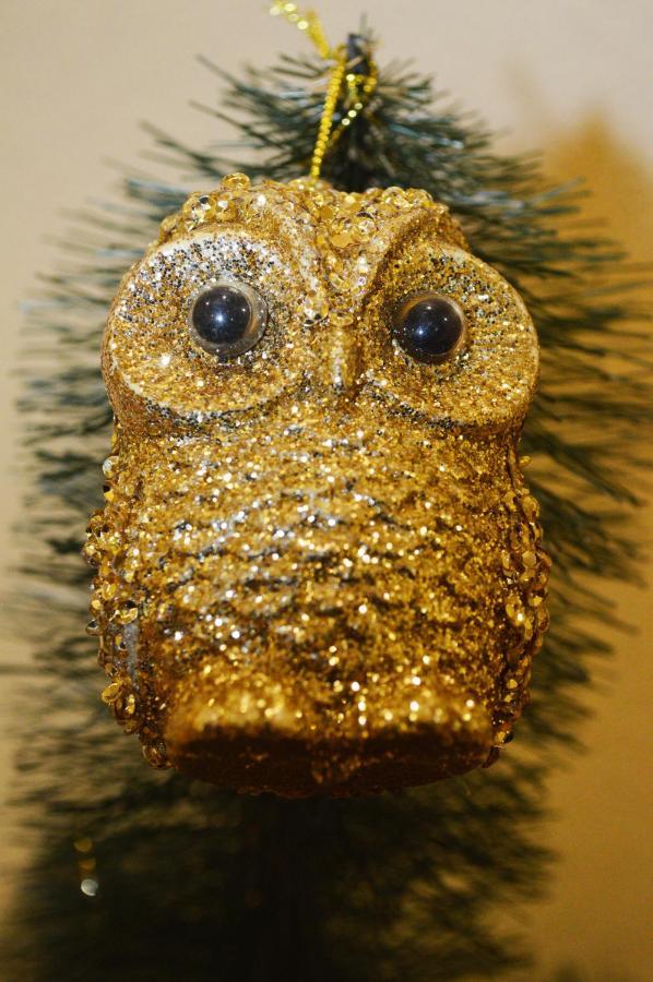 Owl Home Odessa Cozy Spacious Apartment In A Quiet Center Between Deribasovskaya And Privoz מראה חיצוני תמונה